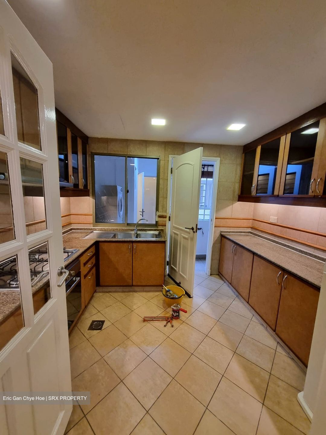 Cavenagh Lodge (D9), Apartment #621953801